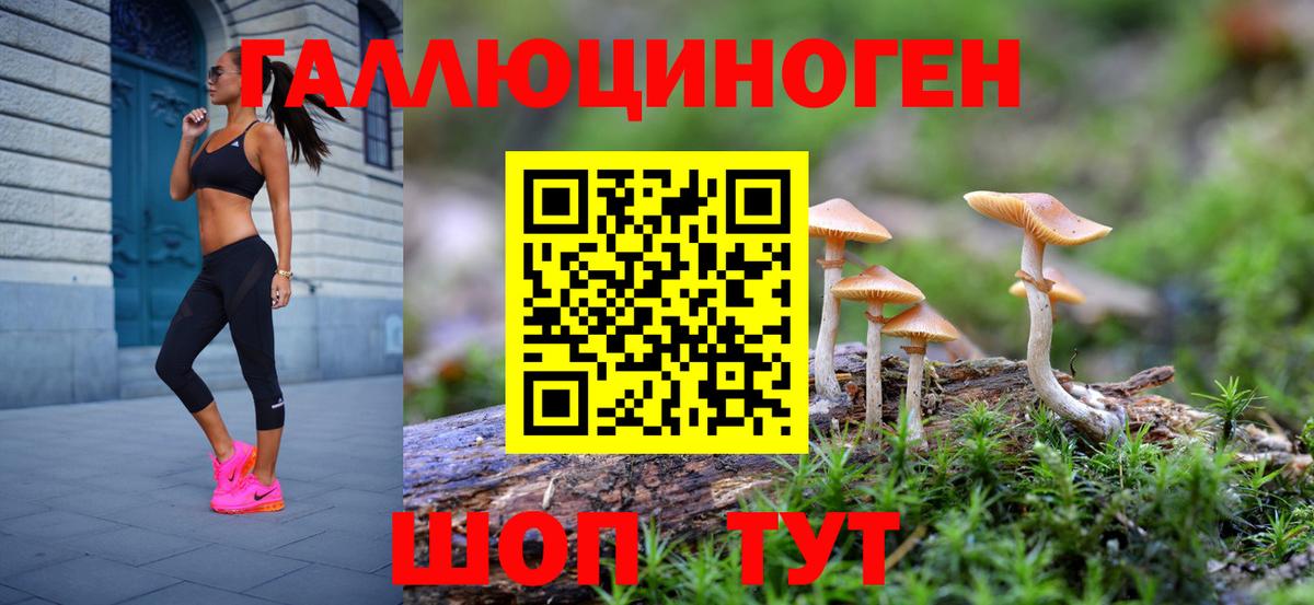 Псилоцибиновые грибы GOLDEN TEACHER  Вход с VPN  Видное 