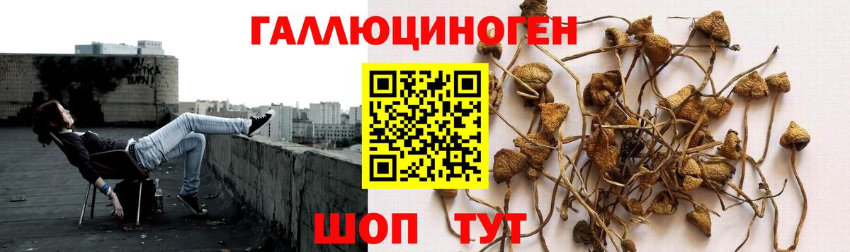 Галлюциногенные грибы MAGIC MUSHROOMS Видное